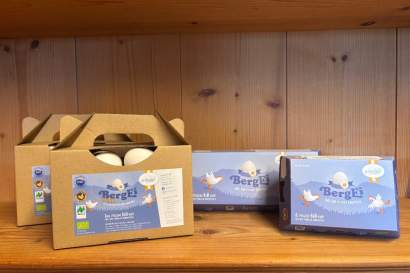 01a_bergei_eggbox.jpg
