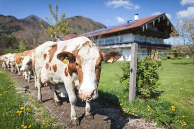 Wir sind für ein Miteinander mit unseren Tieren